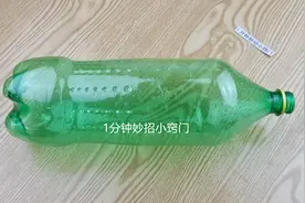 不用买老鼠药，只需要一个塑料瓶，老鼠来一只灭一只，安全又省事图片