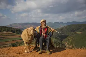 云南省养老金调整在即，云南退休人员上涨金额很容易达156元吗？图片