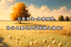五谷之黄米具有滋补作用，就连米糠也不容轻视图片