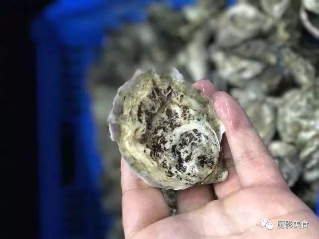 40头的花胶是几级 2025年花胶40头是什么意思?