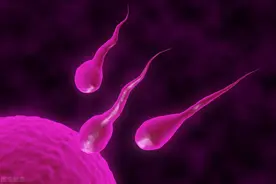 卵子存活时间并不长，要想快速怀孕，一定要抓住这3天图片