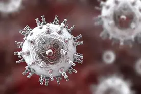 新冠病毒何时会消失呢？中科院院士黄建平团队做出预测，快瞧瞧图片