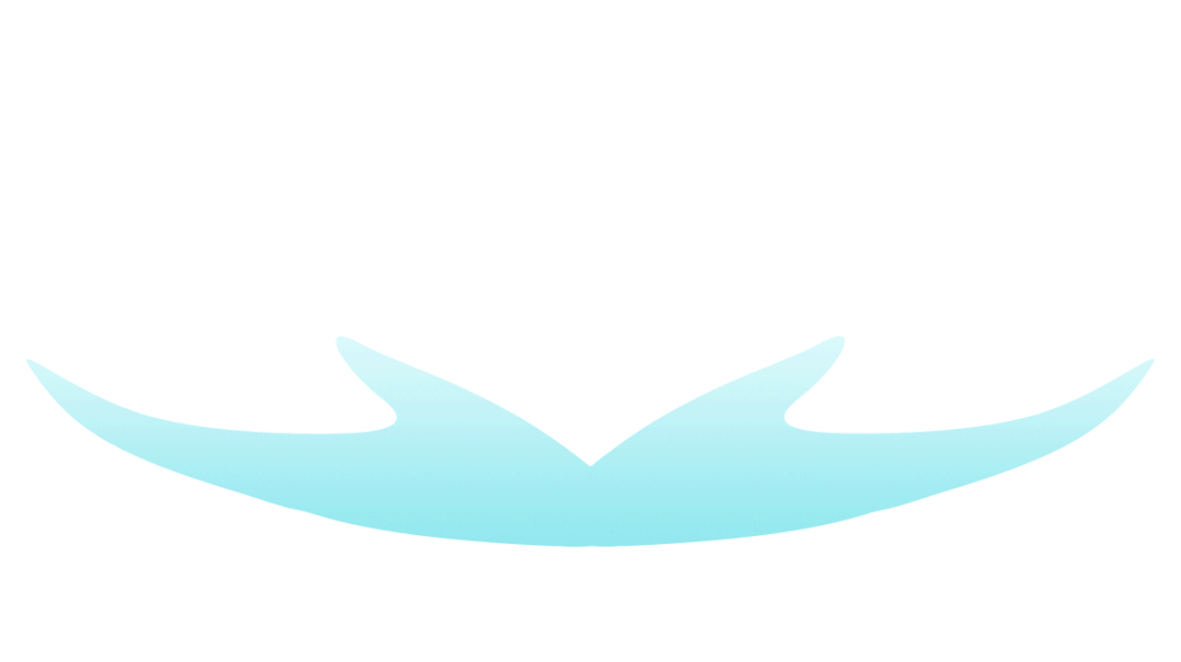 【区市县动态】送政策 解难题 力促医保工作再上新台阶