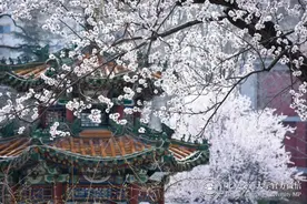 转需！北京交大2023年全国优秀大学生暑期夏令营来了！图片