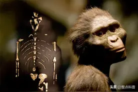 人体共有206块骨头，中国人却普遍只有204块，少的两块去哪里了？图片