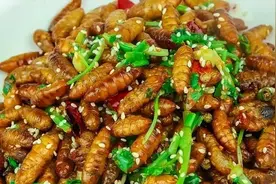 广东“6大怪菜”，全是本地人的心头爱，外地人：真敢吃图片