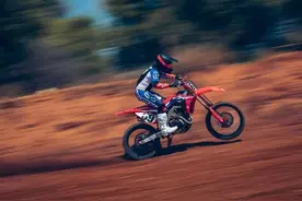 如何掌握主体清晰、背景模糊的摇摄技巧，拍出令人满意的大片？图片