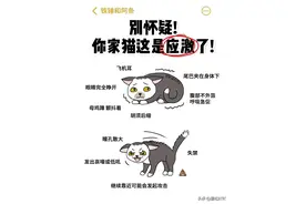 能不能别再吓猫了应激真的会害了它！图片