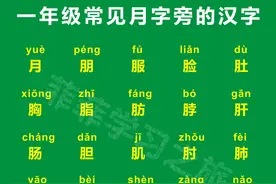一年级偏旁部首月字旁，一年级月字旁的汉字，月字旁考试知识点图片