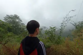 大山深处，13岁留守儿童的打工梦图片