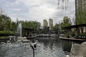 治疗牛皮癣——李可的乌蛇荣皮汤效果确实好图片