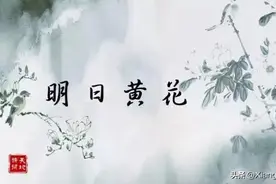 一天一成语：明日黄花图片