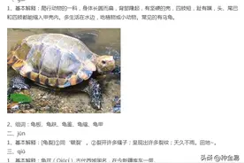 “龟裂”一词的读音原来我一直都是错的？你也不一定对了图片