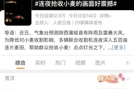 连夜抢收小麦上热搜！雨前“虎口夺粮”，哪儿来的底气？图片