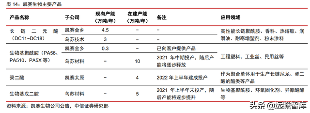 颠覆传统，合成生物：迎来历史发展机遇，乘势而起，引领未来