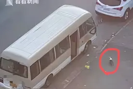 上海一小区柯基犬被处理 狗主人：本想让它流浪保命图片
