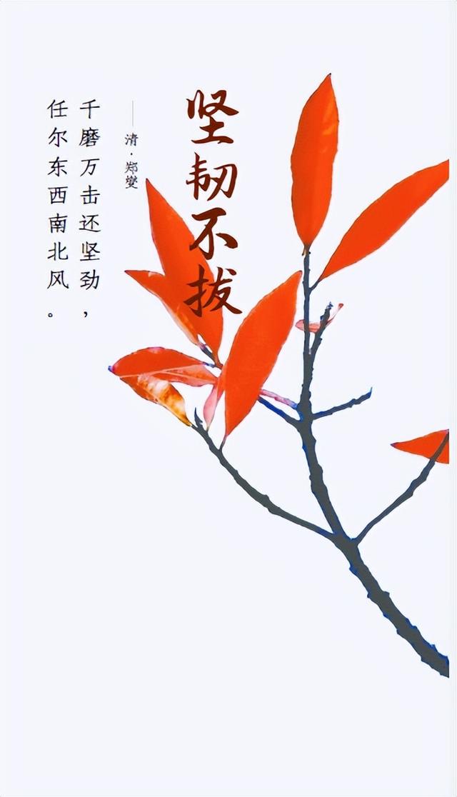 「2022.11.19」早安心语，正能量暖心语录句子 清晨激励人心的图片