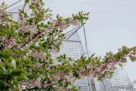 当一个男人把你删除拉黑了，如此处理才是真聪明图片
