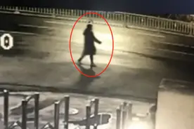 19年苏州大妈见男网友，遭抢劫还被刺伤，查明后，儿子儿媳被判刑图片
