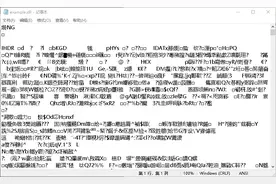 我想看看".dll"文件的内容，请问用什么软件打开？图片