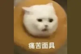 西班牙语有多难学？图片