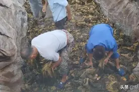 “方便面一哥”，为何成为人人唾弃的对象，相比白象康师傅差在哪图片
