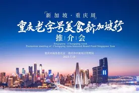 山海之约 一路向南——陆海新通道南向经贸合作有力推进图片