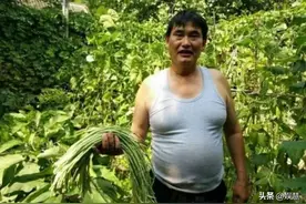 大衣哥儿子朱单伟减肥见成效，三天掉秤10斤，去皮体重仍有252斤图片