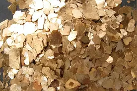 福建海边出现神秘金片，遭渔民哄抢一空，专家调查后：金片不简单图片