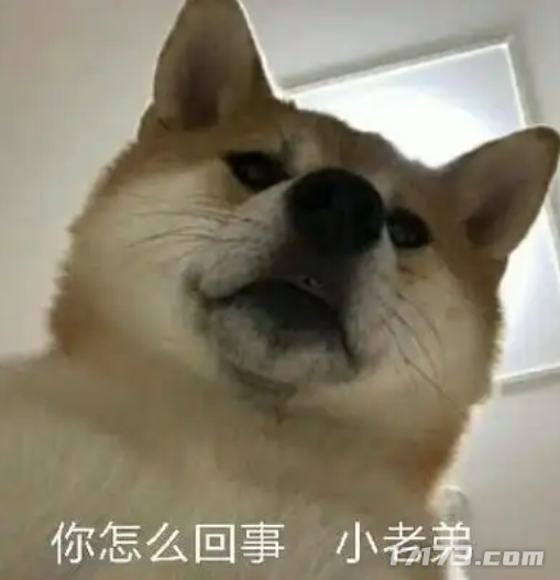 腾讯网易王牌集体沉默？这些国民级网游为何“不敢”开怀旧服！