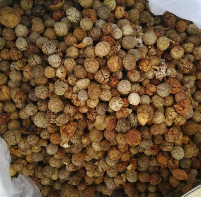 调料中的草蔻、白豆蔻、肉蔻是哪些植物的果实