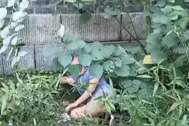 湖南岳阳 大爷晨练时一个趔趄从7米高墙摔下，附近群众听见呼救声后发现并报警图片