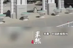 名校毕业生向二三线城市中学扩散，温州一中学11名新教师，7人来自清华北大图片