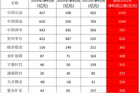中国石油和中国海油盈利2973亿，1年顶3年|公司：抓住了油价上涨机遇图片