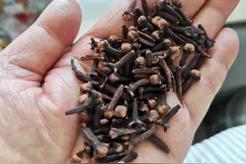 都说丁香酒好用，为什么你却钓不到鱼？总结出4个根本原因图片