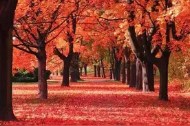 活到60岁，你突然明白哪些“潜规则”？图片