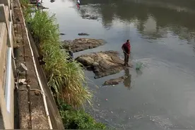 实拍湖南某地“久旱无雨”，河都干涸了，市民直接下河抓鱼了图片