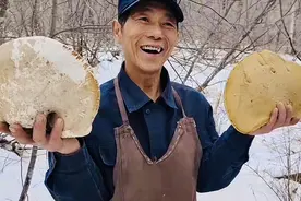 东方红林区深处，最后一代跑山人正在老去图片