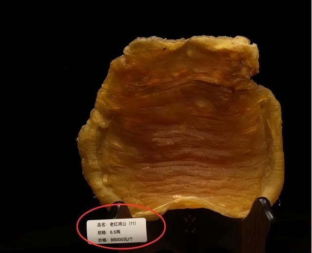 半年花胶 2025年花胶几年的好