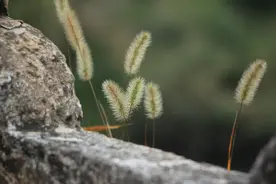 告诉老年父母：串门，最好别去这五种家庭图片