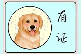 #护航辽宁全面振兴新突破三年行动#犬证办理攻略,来啦！图片