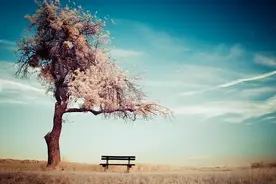 一个人值不值得深交，看这三个细节就知道了图片