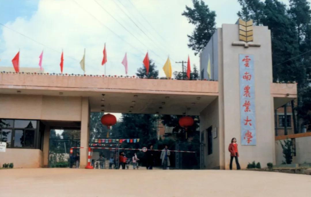 西南林業文科二本分數線_云南農業大學與西南林業大學對比_云南農業大學和西南林業大學哪個好