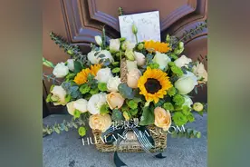 乔迁送花好吗？乔迁新居送什么鲜花？3种适合乔迁新家的花图片