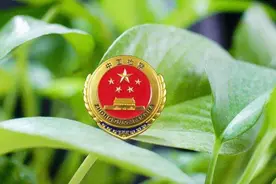 普法小剧场 | 嘿，美女，我来养你啊！图片