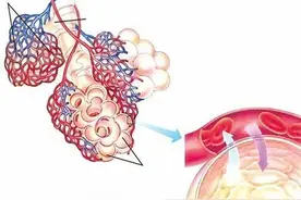 为什么慢阻肺患者二氧化碳潴留有的可好转有的不可逆？关键点在哪图片