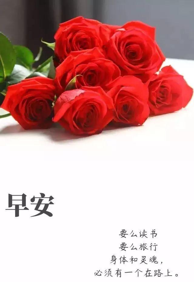 12.27」早安心语,正能量温暖人心美丽语句 早安问候语图片