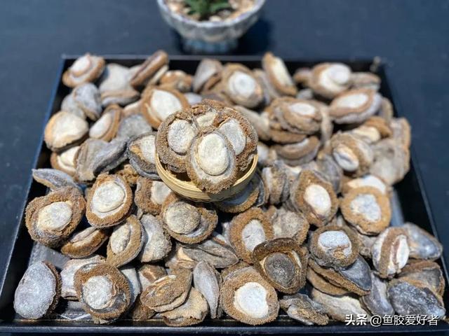 棉线花胶是什么鱼 英语四级没过考研英语能考多少分