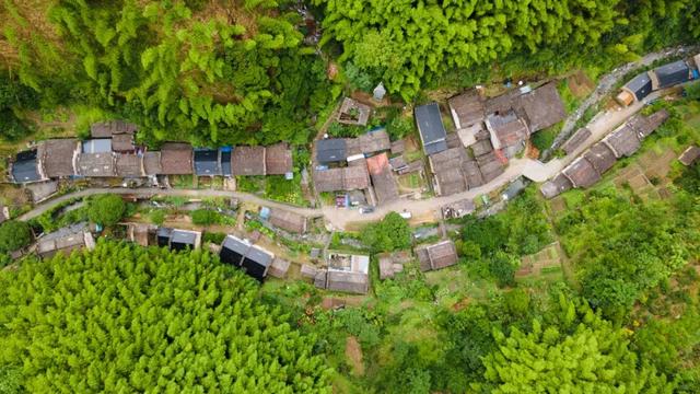 黄山奇遇记：冬观候鸟，野探短尾猴，一场徒步自然的探索之行