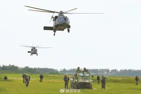 中部战区陆军某空中突击旅：逆风飞翔，锻造钢铁之翼图片